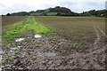 Arable land at Great Witley