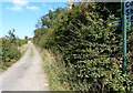 Ivanhoe Way footpath to Bardon Hill