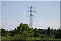 Pylon in the Cray Valley