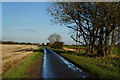 Bursea Lane towards the A614