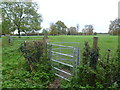 Footpath to Woodmansterne