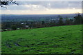 Field above Moor Hey