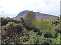 The Great Glen Way near Balbeg