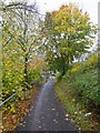 Autumn footpath
