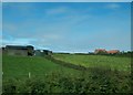C9035 : Farm houses and buildings on Ballywatt Road, near Ballybogy by Eric Jones