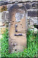 Benchmark on gatepost, inspected by snails