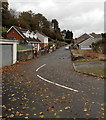 Autumn leaves on Old Road, Neath Abbey