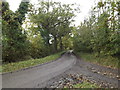 TM3770 : Hollow Lane (New Road), Sibton by Geographer