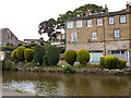 Topiary by the canal