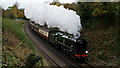TQ3656 : No.34046 'Braunton' at Woldingham by Peter Trimming