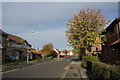 Houses on Linnaeus Street, Hull