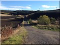 Gravel road to Mount Pleasant