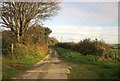 Lane to Gooseford