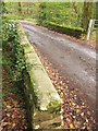 Bridge near Clapper Bridge