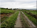 Track heading towards Long Lee