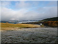 Frosty moorland near Gatehouse