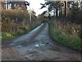 Farm road to Binhall