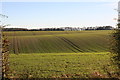 Rolling fields opposite South Farm