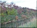 Holderness Drain, Kingston upon Hull