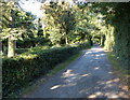 Road to Bardon Hill Quarry