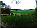 Memorial to Polish airman by bridleway (1)