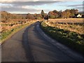 Minor road near Ruthven