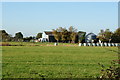 Oak Tree Farm from Drain Lane