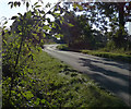 Country lane near Strawhall Farm