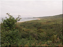 D0143 : Dense cover of scrub on the slumped cliffs above Whitepark Bay by Eric Jones