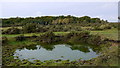 Small Pond by Broomhill Farm