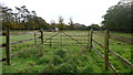 Pasture near East Boldre, 2