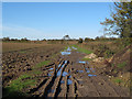 Farm track on arable field, Stebbing