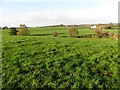 Drumnabey Townland