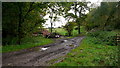 Muddy bridleway