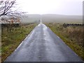 NY7988 : Road near Lane End by Andrew Curtis