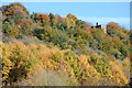 Tower on Break-Heart-Hill Wood