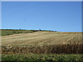 Hillside farmland, Tigh na Sgoil