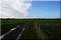 Abbey Lane towards Willerby