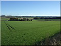 Farmland towards Little Pitinnan