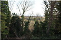 Mersehead Cottages through the Trees