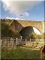 Runway Tunnel, River Bollin