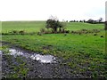 Muddy ground, Aghnaglea