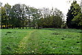 Footpath by Wood Farm