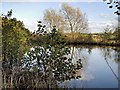 Pond near Manchester Airport