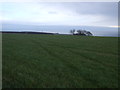 NO8780 : Farmland towards Cowieswells by JThomas