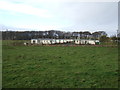 Caravan site, Cloak