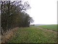 Farmland near woodland, Den of Brotherton