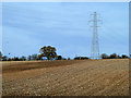 Ploughed field and pylon