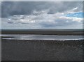 J3932 : Murlough Beach at low tide by Eric Jones