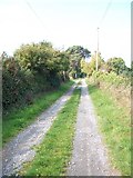 J3633 : Wild Forest Lane between Newcastle and Bryansford by Eric Jones